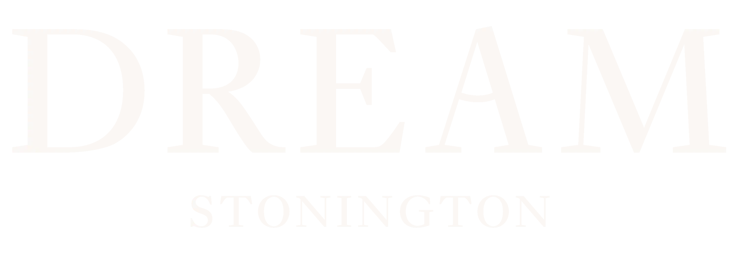 Dream Stonington - Logo - White